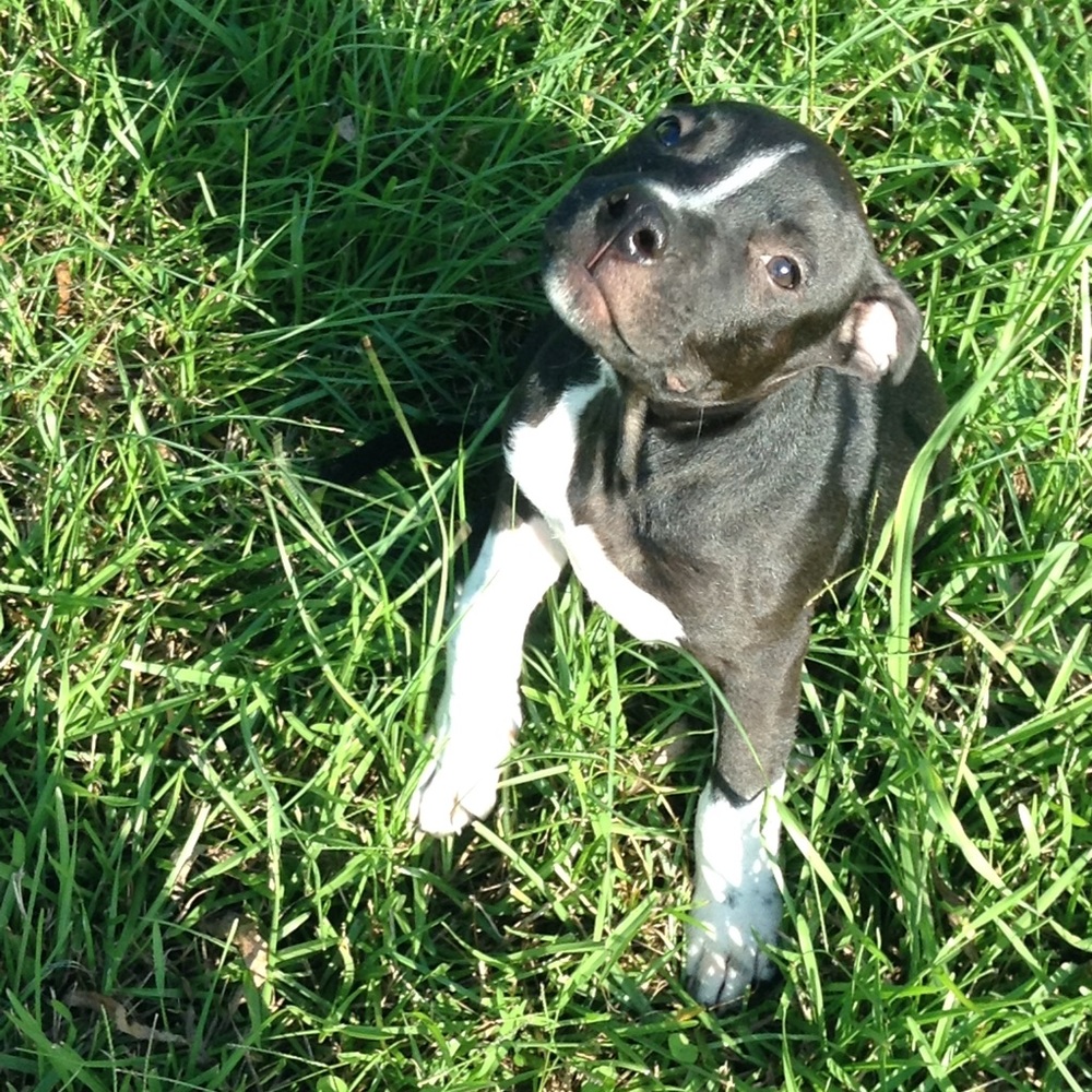 Meet your Posher, Bre